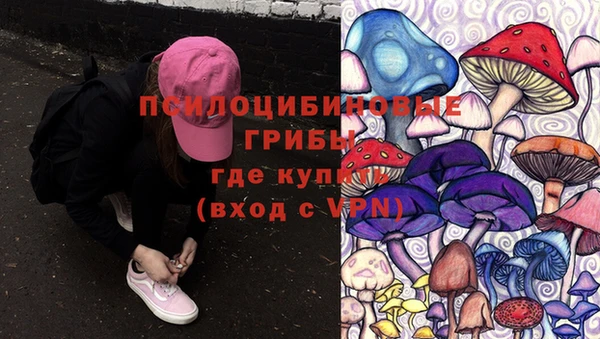 шишки Алзамай