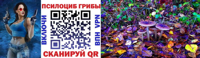 кракен как войти  Рошаль  Галлюциногенные грибы Psilocybe 